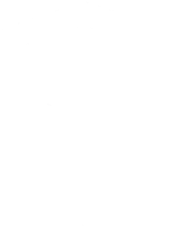 Gözetim ve Danışmanlık